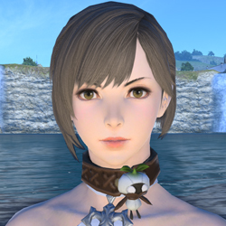 ffxiv-pre-heavensward-contest-mandragora-choker